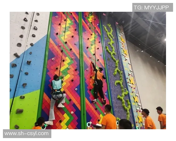 极限运动战术解析：上海极限运动队快攻体系的创新与实践探索